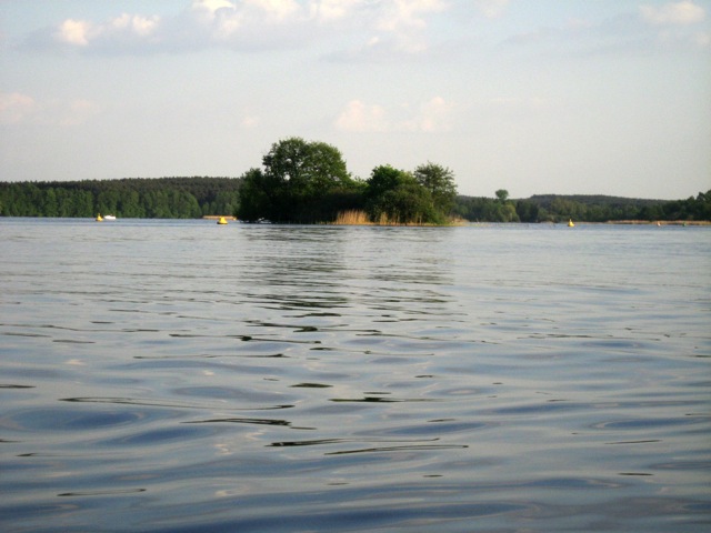 Loading Image